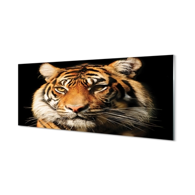 Quadro vetro Tigre