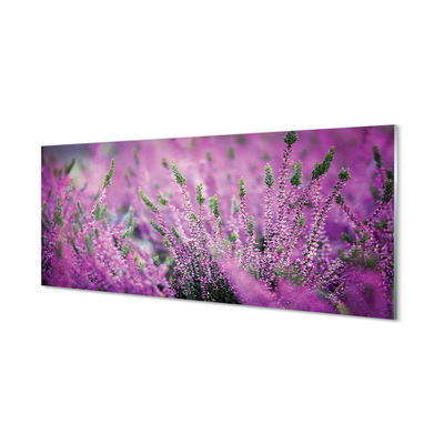 Quadro su vetro Campo di heather