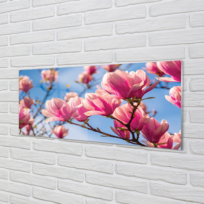 Quadro in vetro Fiori d'albero