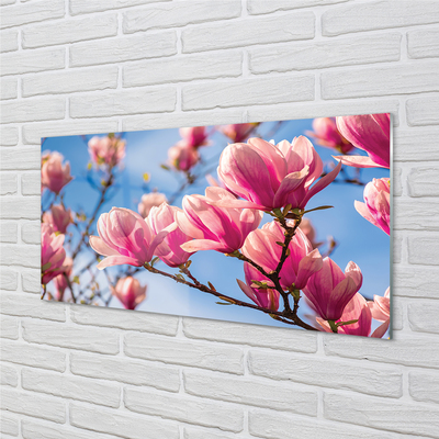 Quadro in vetro Fiori d'albero