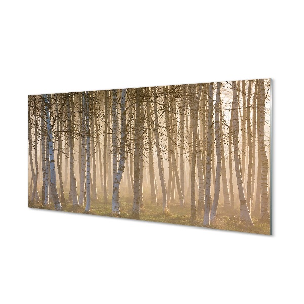 Quadro in vetro Alberi della foresta all'alba