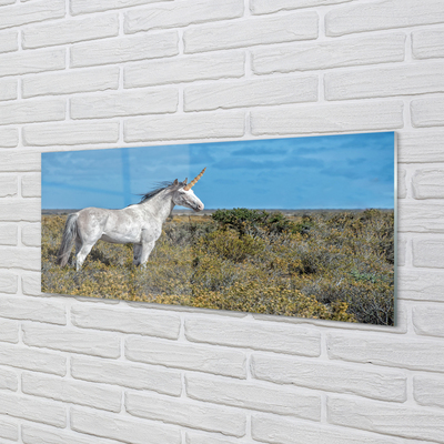 Quadro vetro Campo di unicorno