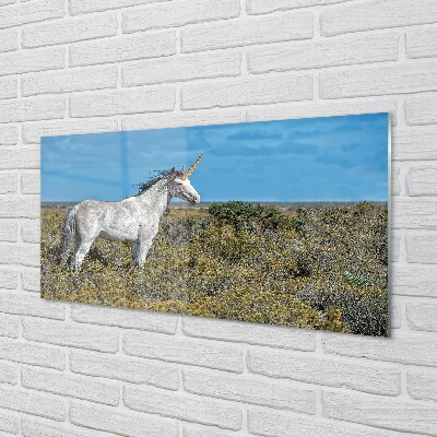 Quadro vetro Campo di unicorno