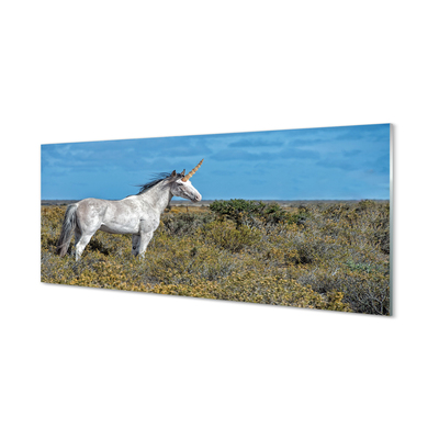 Quadro vetro Campo di unicorno