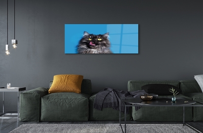 Quadro in vetro Leccare il gatto