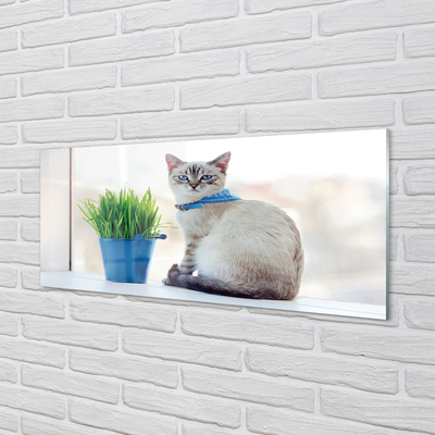 Quadro di vetro Gatto seduto