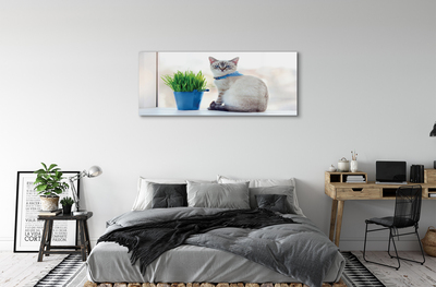 Quadro di vetro Gatto seduto