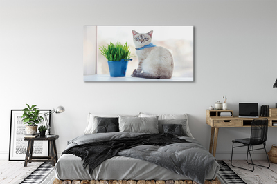 Quadro di vetro Gatto seduto