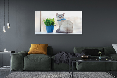 Quadro di vetro Gatto seduto