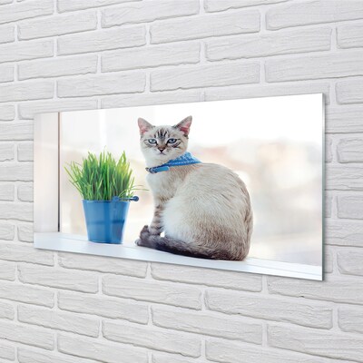 Quadro di vetro Gatto seduto