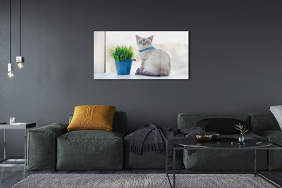 Quadro di vetro Gatto seduto