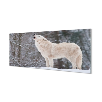 Quadro in vetro Inverno nella foresta del lupo