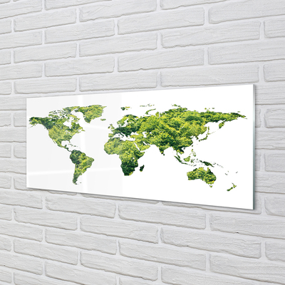 Quadro vetro Mappa dell'erba verde