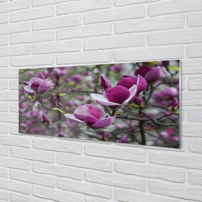 Quadro vetro Magnolia viola