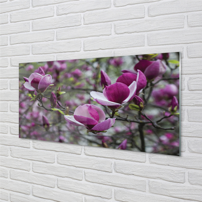 Quadro vetro Magnolia viola