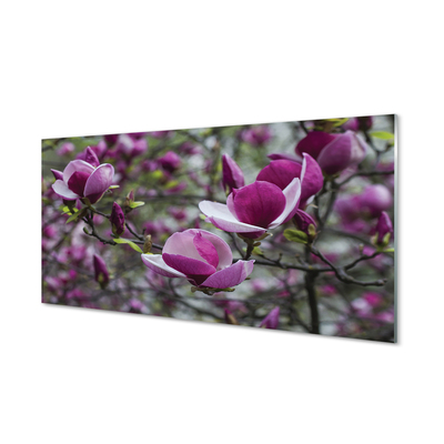 Quadro vetro Magnolia viola