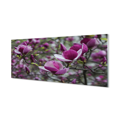 Quadro vetro Magnolia viola