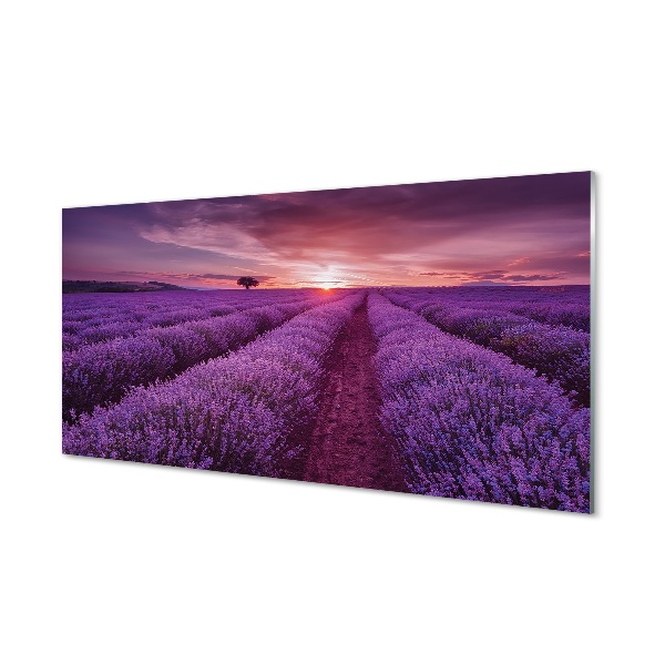 Quadro di vetro Campo di heather