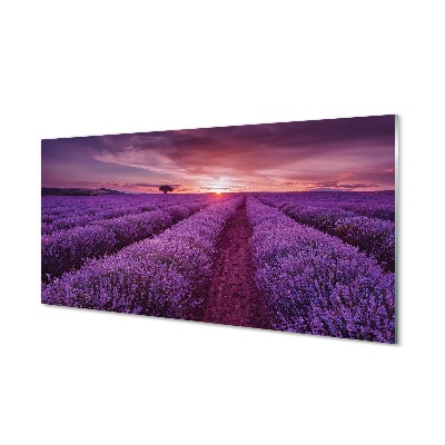 Quadro di vetro Campo di heather