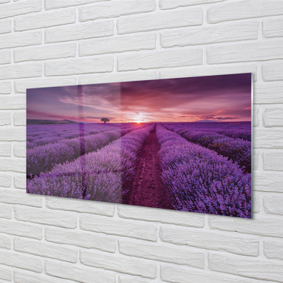 Quadro di vetro Campo di heather