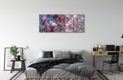 Quadro vetro Alberi di magnolia