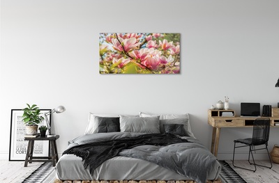 Quadro di vetro Magnolia rosa