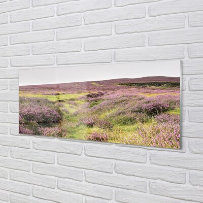 Quadro in vetro Campo di heather