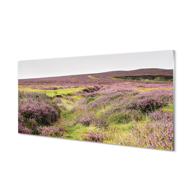 Quadro in vetro Campo di heather