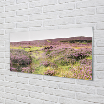 Quadro in vetro Campo di heather