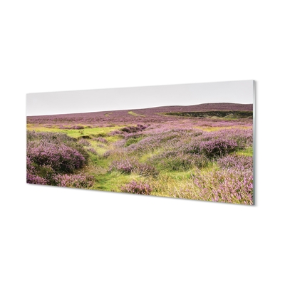 Quadro in vetro Campo di heather