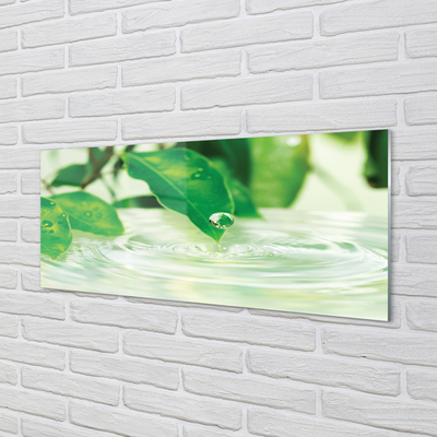 Quadro in vetro Gocce di foglie acqua