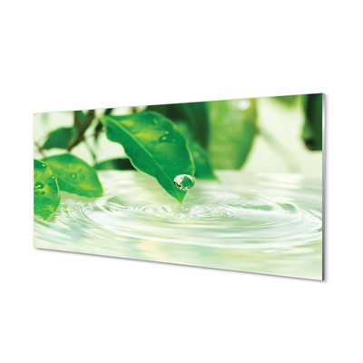 Quadro in vetro Gocce di foglie acqua