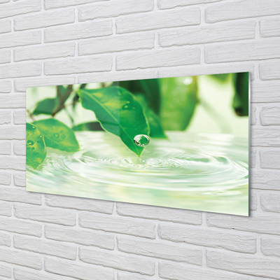 Quadro in vetro Gocce di foglie acqua