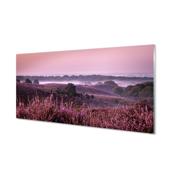 Quadro vetro Campo di heather