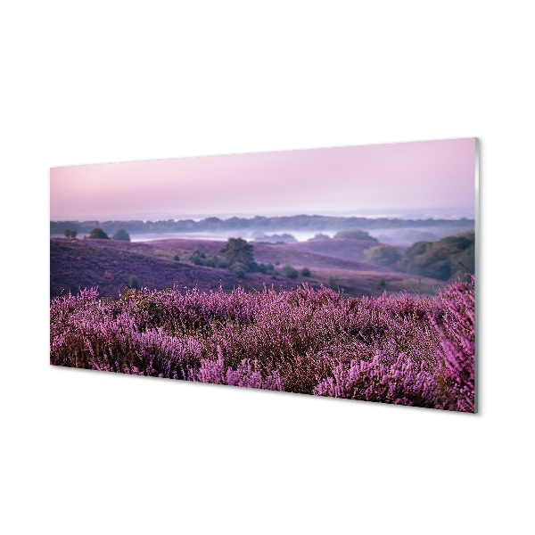 Quadro in vetro Campo di heather