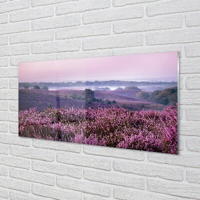 Quadro in vetro Campo di heather