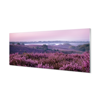 Quadro in vetro Campo di heather