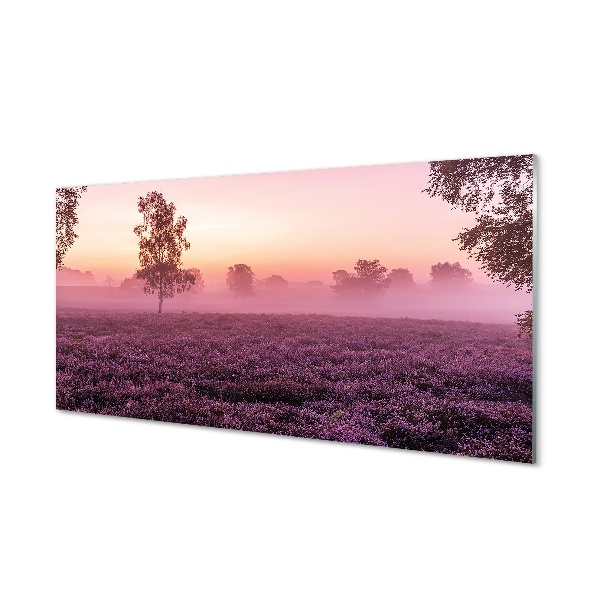 Quadro in vetro Campo di heather