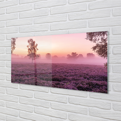 Quadro in vetro Campo di heather