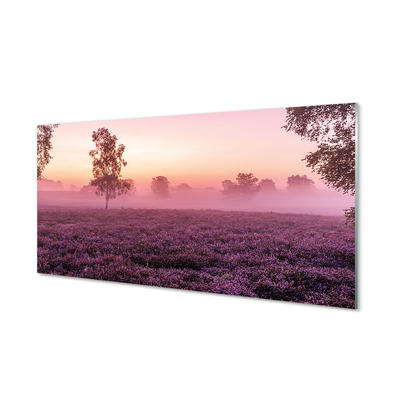 Quadro in vetro Campo di heather