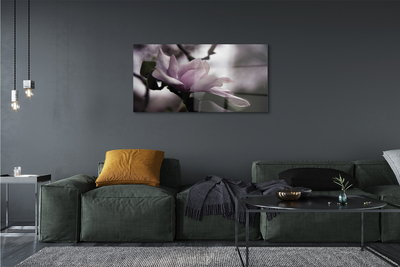 Quadro di vetro Magnolia