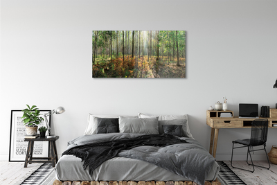 Quadro di vetro Foresta di betulle