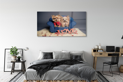 Quadro su vetro Yorkies