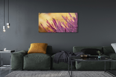 Quadro di vetro I fiori