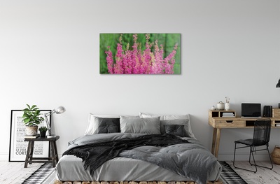 Quadro vetro Fiori di erica