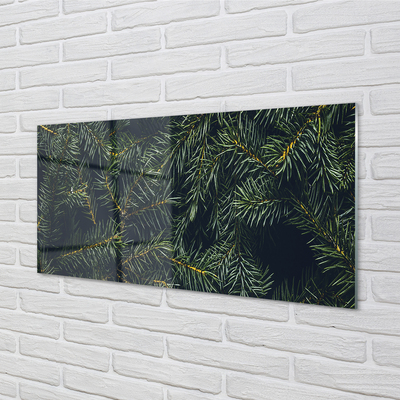 Quadro in vetro Rami dell'albero di natale