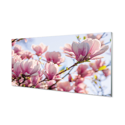 Quadro di vetro Magnolia