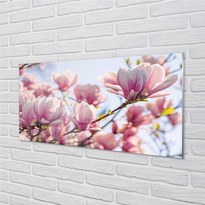 Quadro di vetro Magnolia