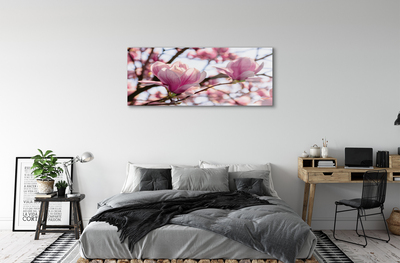 Quadro su vetro Alberi di magnolia