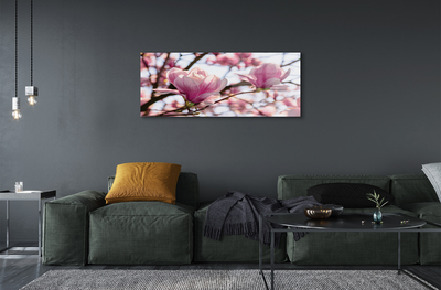 Quadro su vetro Alberi di magnolia